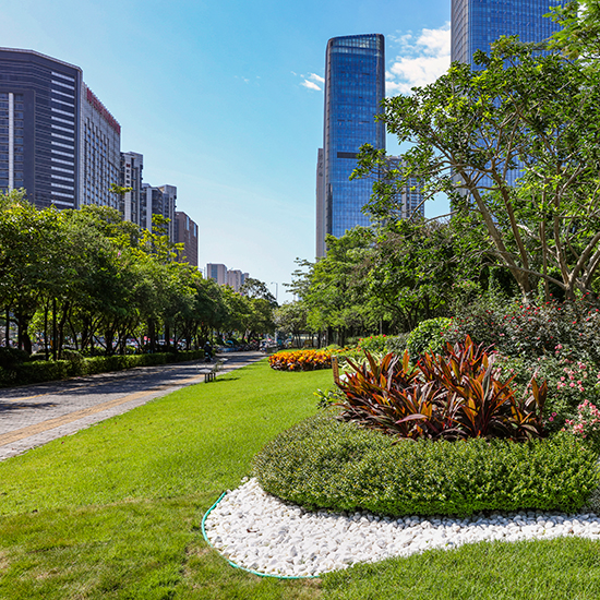 寶安區(qū)政府大院東門景觀提升工程