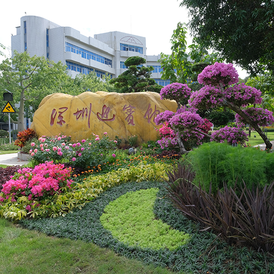 2022 年深圳迎賓館花卉布置項目