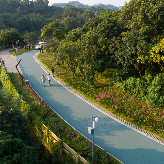 龍華新區(qū)環(huán)城綠道建設(shè)項目（大水坑段）—勘察、設(shè)計、施工項目總承包（EPC）