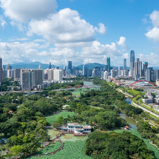 洪湖-翠竹-紅崗公園2025年綜合管理服務(wù)項(xiàng)目
